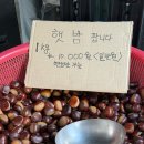 동루골막국수 | 고성 동루골 막국수 내돈내산 찐 후기