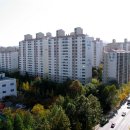 스타코킹