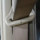 지엔지카 이미지