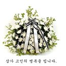 정*진 - 안양시 만안구 양화로106번길 | 정*진