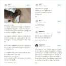 메트로치과기공소 | 대구 동구 동물병원 - 보호자와 수의사가 생각하는 "좋은" 동물병원이란? (feat. 수의사의 소양 3가지)