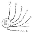 배나무 재배법 이미지