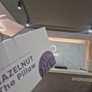 레드플래닛 하남점에서 혼수 가구 야누스2쇼파,에덴 슬라이딩 침대,매트,익스펜션 식탁,리클라이너 쇼파...