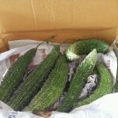 신토불이슈퍼 이미지