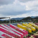 제4구경길 건봉사 유적지탐방길 | 2025 화순 고인돌 가을꽃 축제 공연 일정 다녀온 후기
