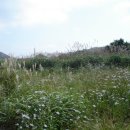 규봉암가는길 이미지