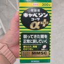 플러스알파 | 카베진 알파 플러스 한달 복용후기 변화 정리