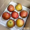 기아자동차(주)전주서비스센타 | 신선한 구독 서비스! 들판열매 사과 구독 솔직후기(+신선한 아침 대용으로 완전 좋은데?!)