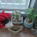 우암농장 이미지