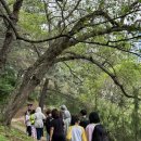 민안초등 이미지