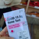 새천일약국 이미지