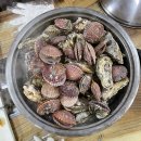 여수회탕탕탕 | 여수 굴구이 바다세상 석화 굴찜 가리비찜 여수 이순신광장 근처 맛집 회센터 후기