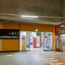 전생에인연펫 이미지