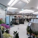 쿠쿠펫(KOOKOOPET) | 대전 애견카페 X 애견수영장 있는 유성 쿠쿠펫(kookoopet)