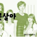 반도장 이미지