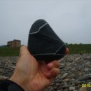 정희농박 이미지