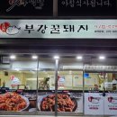 부강꿀돼지