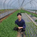 문호농장 이미지