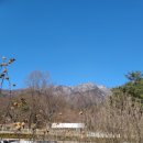 용문 행정사 이미지