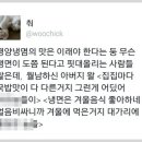 평양냉면 매니아들이 만들어낸 자료 이미지