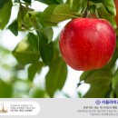 서울라이즈요양병원 이미지