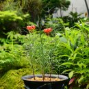 큰솔농장 이미지