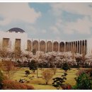 인하대학교 이미지