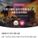 강릉산불 하트만 눌러도 100원 기부! 카카오 돈으로 기부하자 이미지