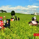 영근농장 이미지