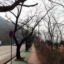 적현로-1 이미지