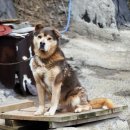 백령파출소 | 소청도/등대가 있는 작고 예쁜 섬^^