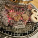 제주돈갈매기