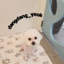 송내동3 이미지