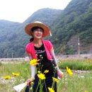 혜유 이미지