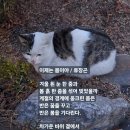 봄이야