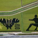 별량그린 이미지