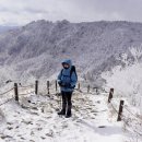 백무동주차장 이미지