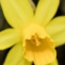 호림농장 이미지