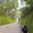 일양주유소 이미지