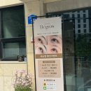 계룡로536번길 | 대전 괴정동속눈썹펌 비그로우 블랙틴팅펌 후기