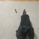 나혼자 이탈리아 🇮🇹 Day 4 나 피렌체 사랑하냐
