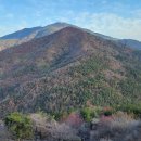 우듬지 호스텔 이미지