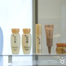 설화수 (롯데백화점 센텀시티점) Daum카페