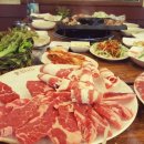 참조은 고기 이미지