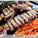 뉴해태 이미지