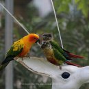 경주버드파크 이미지