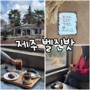 제주 서귀포 카페 벨진밧, 정원이 예쁜 박한별 카페 방문 후기