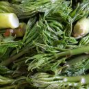 금월농장 이미지