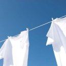 바로세탁소 이미지