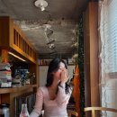 데이로즈